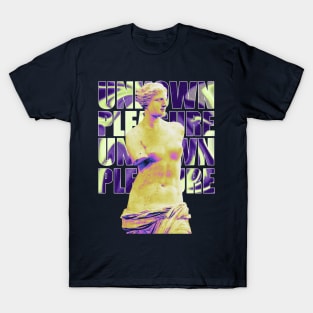 secret pleasure aphrodite T-Shirt